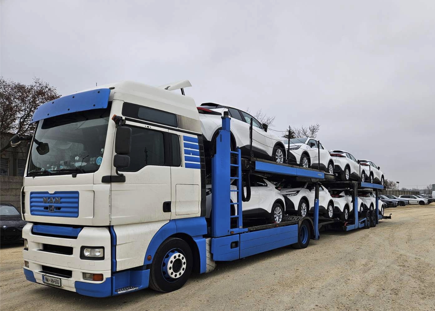 BZ Fleet Solutions — Car Transport